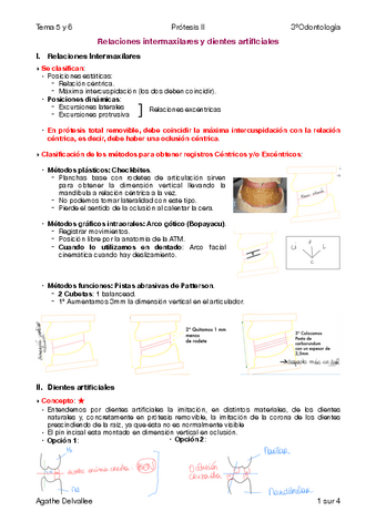 Tema-5-y-6.pdf