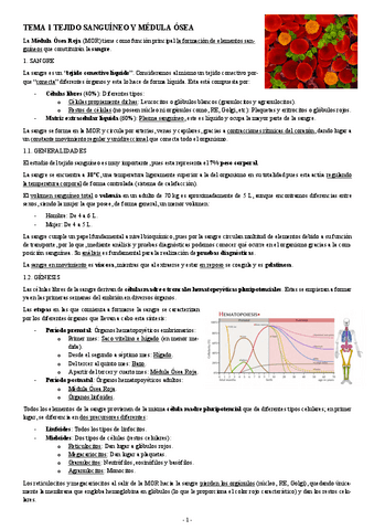 HISTOLOGIA-TEMA-1-TEJIDO-SANGUINEO-Y-MEDULA-OSEA.pdf