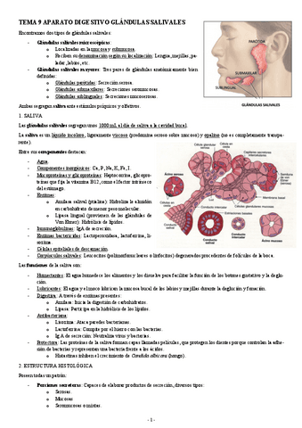 HISTOLOGIA-TEMA-9-APARATO-DIGESTIVO-GLANDULAS-SALIVALES.pdf