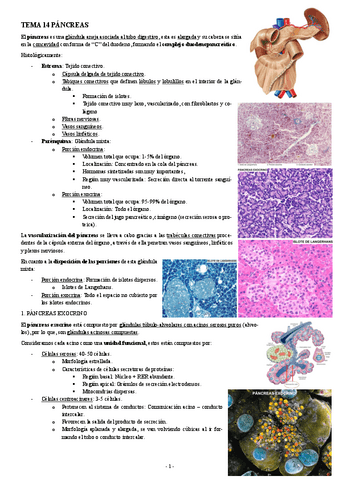 HISTOLOGIA-TEMA-14-PANCREAS.pdf