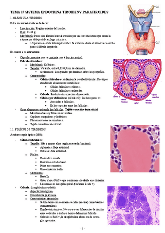 HISTOLOGIA-TEMA-17-SISTEMA-ENDOCRINA-TIROIDES-Y-PARATIROIDES.pdf