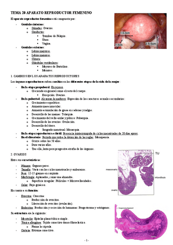 HISTOLOGIA-TEMA-20-APARATO-REPRODUCTOR-FEMENINO.pdf