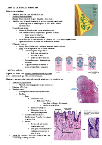 HISTOLOGIA-TEMA-22-GLANDUAL-MAMARIA.pdf