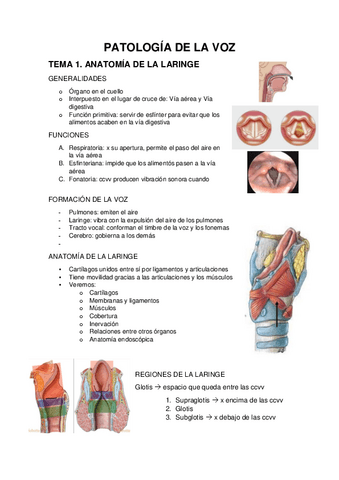 APUNTES-PATOLOGIA-DE-LA-VOZ.pdf