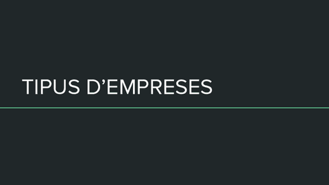 Empresa-i-Administracio-TREBALL-TIPUS-DEMPRESES.pdf