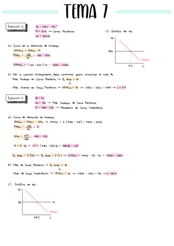 PRACTICA-TEMA-7-MICRO.pdf