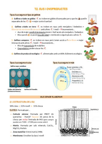 T2.-OUS-I-OVOPRODUCTES.pdf