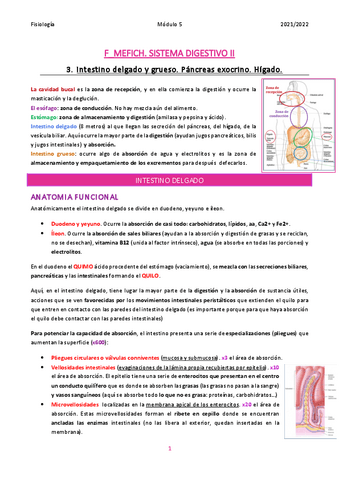 F-MEFICH-Modulo-7Sistema-digestivo-II-2.pdf