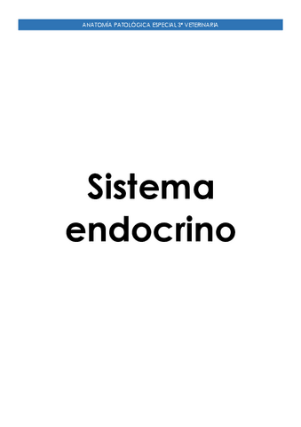 Sistema-Endocrino.pdf