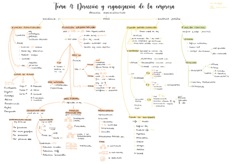 Esquema-resumen-tema-4pdf.pdf