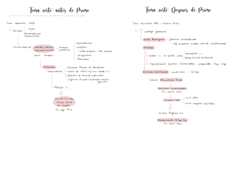 Temas-cortos-antes-y-despues-de-Primo-esquemas.pdf