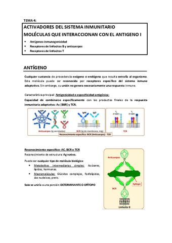 T4 - Activadores del sistema inmunitario.pdf
