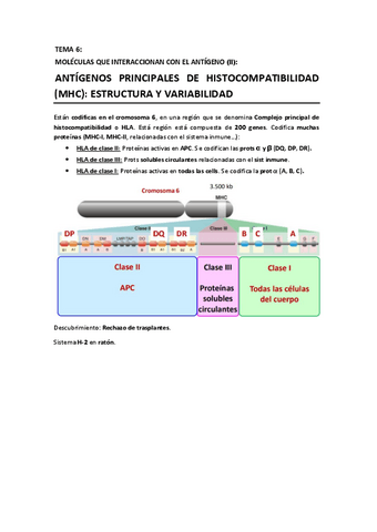 T6 - Antígenos MHC.pdf