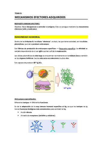 T9 - Mecanismos efectores adquiridos.pdf