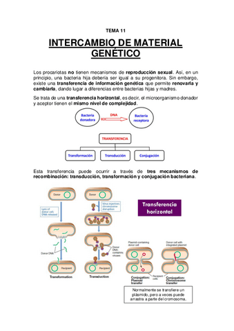 TEMA 11 - Intercambio de material genético.pdf