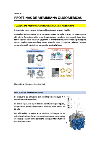 T5 - Proteinas de membrana oligomericas.pdf