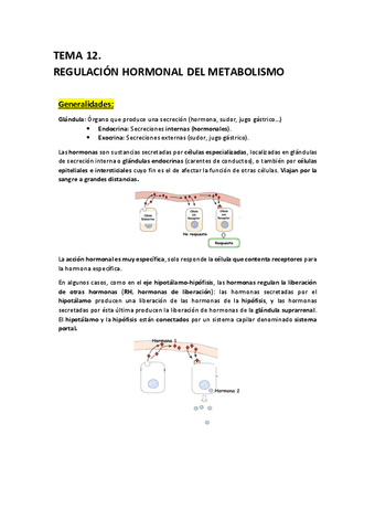 T12 - Regulacion Hormonal del Metabolismo.pdf