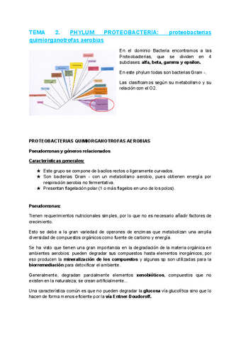 Tema-2.pdf