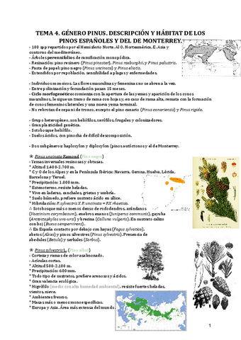 Tema-4.-Genero-Pinus.-Descripcion-y-habitat-de-los-pinos-espanoles-y-del-de-Monterrey..pdf