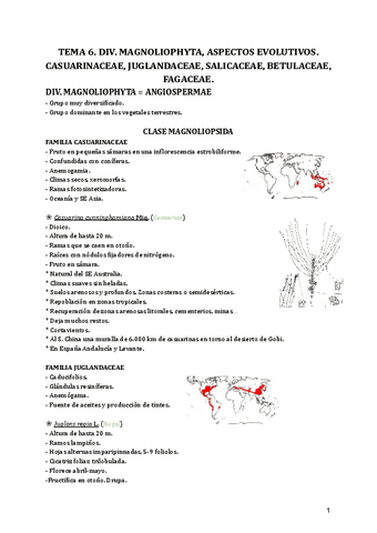 Tema-6.-Div.-Magnoliophyta-aspectos-evolutivos.-Casuarinaceae-Juglandaceae-Salicaceae-Betulaceae-Fagaceae..pdf