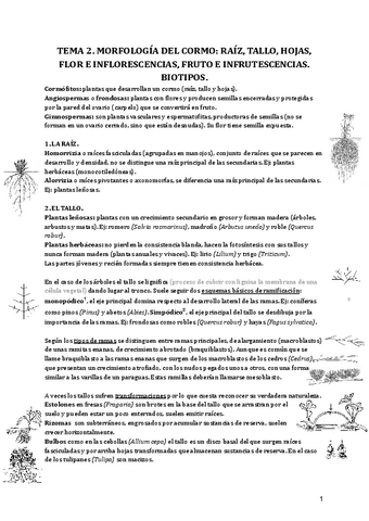 Tema-2.-Morfologia-del-cormo-raiz-tallo-hojas-flor-e-inflorescencias-fruto-e-infrutescencias.-Biotipos..pdf