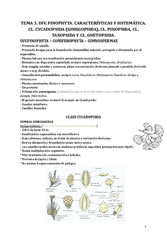 Tema-3.-Div.-Pinophyta.-Caracteristicas-y-sistematica.-Cl.-Cycadopsida-Ginkgopsida-Cl.-Pinopsida-Cl.-Taxopsida-y-Cl.-Gnetopsida..pdf