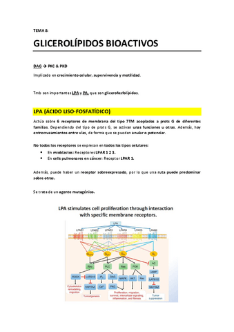 TEMA 8 - Glicerolipidos bioactivos.pdf