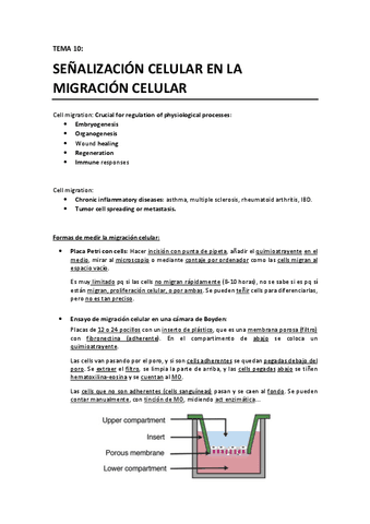 TEMA 10 - Señalizacion celular en la migracion celular.pdf