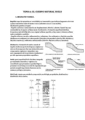 TEMA-6-EL-CUERPO-NATURAL-SUELO.pdf