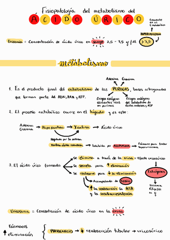 Apuntes-acido-urico.pdf