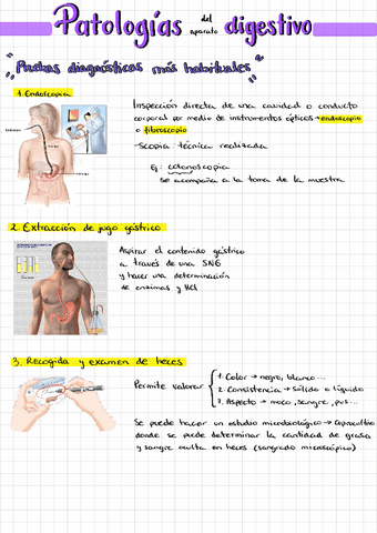 Patologias-del-aparato-digestivo.pdf