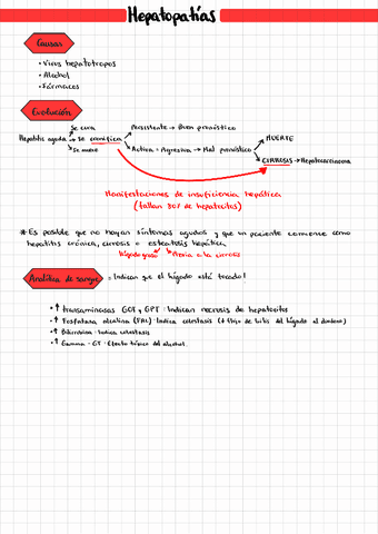 Hepatopatias.pdf