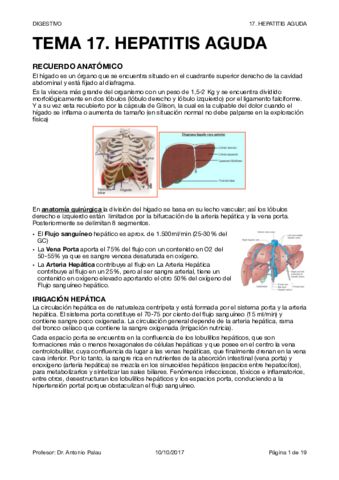 17. HEPATITIS AGUDAS.pdf