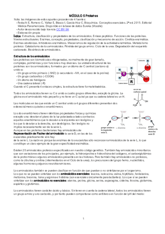 Apuntes-Modulo-5.pdf