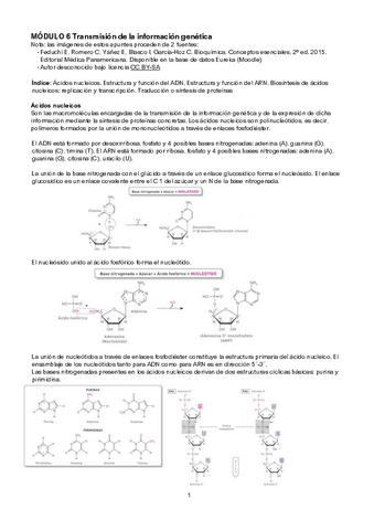 Apuntes-Modulo-6.pdf