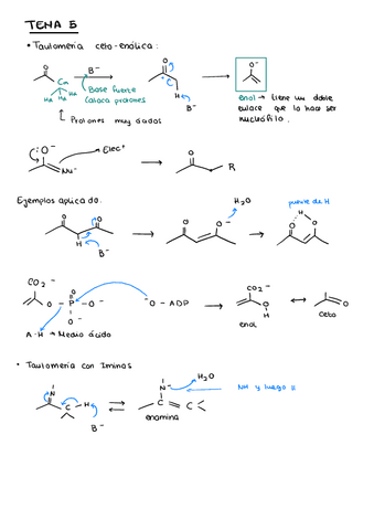 Tema-5-Quimica-organica.pdf