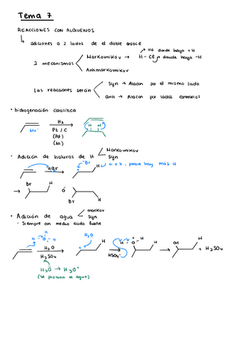 Tema-7-Quimica-organica.pdf