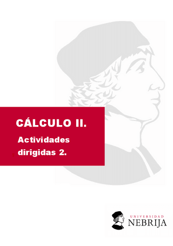 Actividad-dirigida-2.pdf