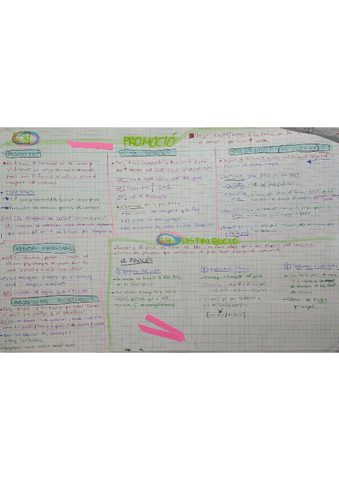 5.3-promocion-y-5.4-distribucion.pdf