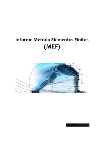 InformeMEF.pdf