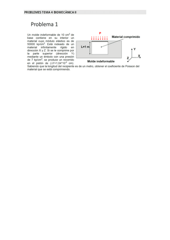 ProblemesTema4.pdf