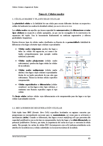 TEMA-6-CELULAS-MADRE-CULTIVOS-CELULARES-E-INGENIERIA-DE-TEJIDOS.pdf