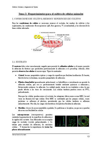 TEMA-2-REQUERIMIENTOS-CULTIVOS-CELULARES-E-INGENIERIA-DE-TEJIDOS.pdf