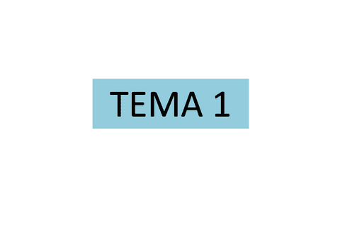 TEMA-1av.pdf