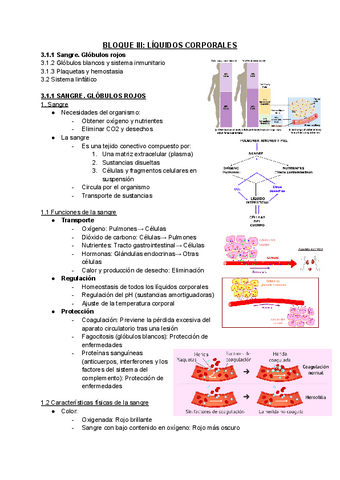 BLOQUE-III-y-IV-1.pdf