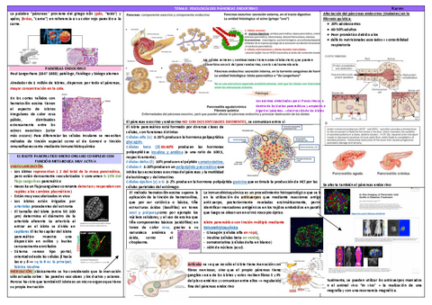 Endocrino-temas-6-7-10-11-12.pdf