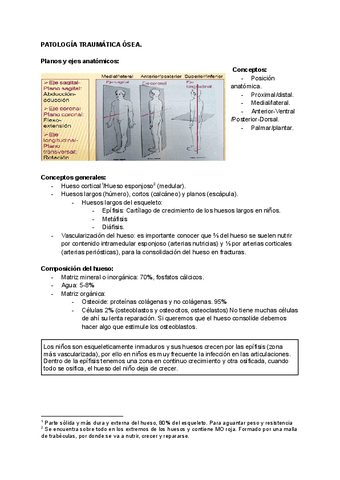 Patologia-traumatica-osea.pdf