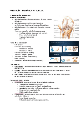 Patologia-traumatica-articular.pdf