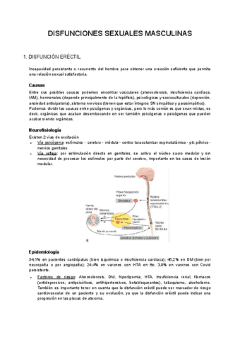 TEMA-5-DISFUNCIONES-SEXUALES-MASCULINAS.pdf