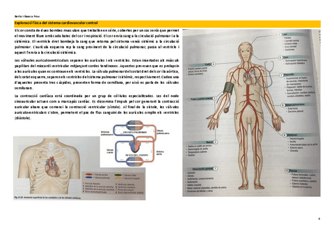 Exploracio-fisica-del-sistema-cardiovascular.pdf